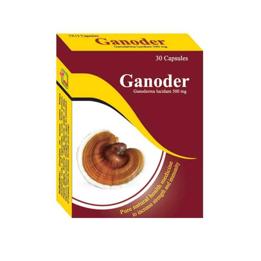 Ganoder 500mg 30 Capsules price in Bangladesh | Authentic Product by Shundorjo